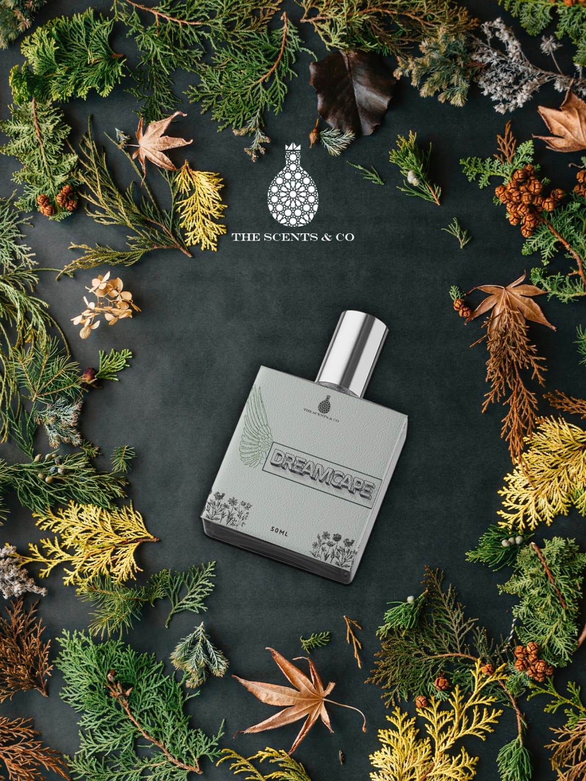 DREAMCAPE Inspired by Imagination LV