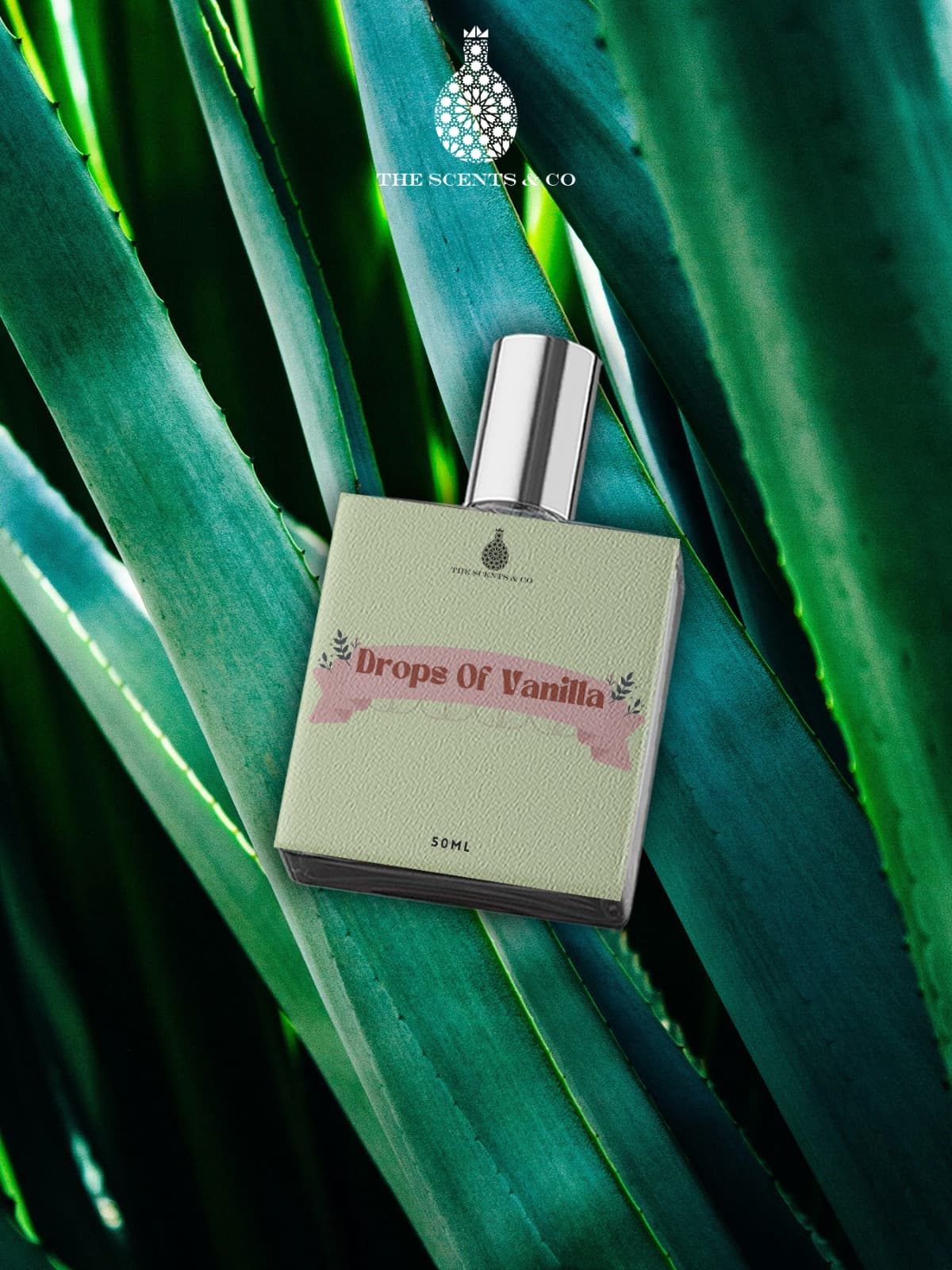 DROPS OF VANILLA  Inspired by Vanilla Powder